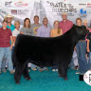 Meet your Posher, Larissa